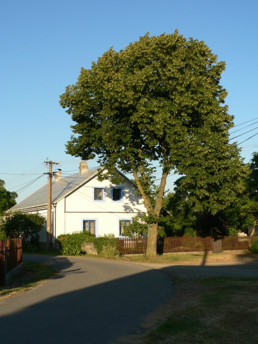Mankovice
