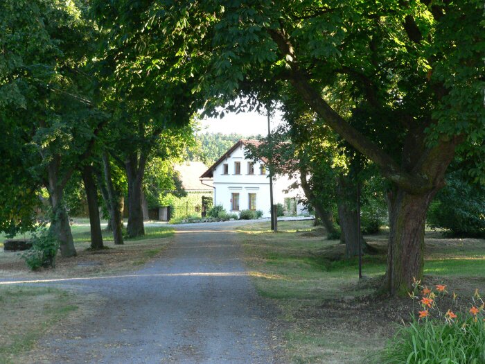 Maníkovice