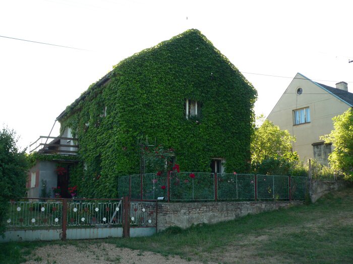 Ptrov