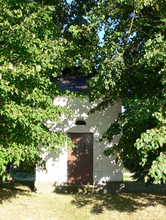 Ptrovec