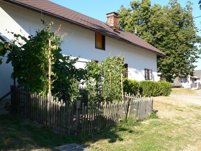 Ptrovec