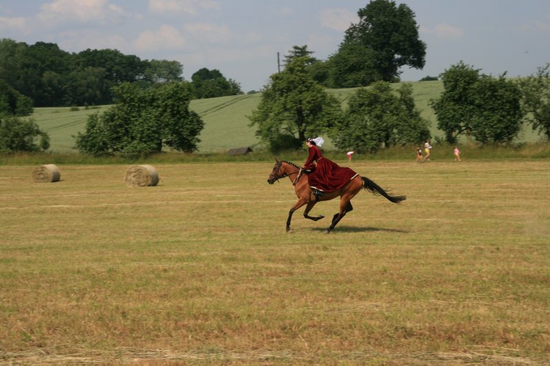 26.6.2010