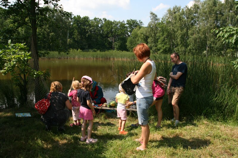 26.6.2010