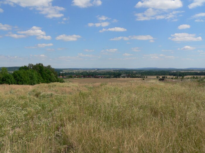 Mankovice