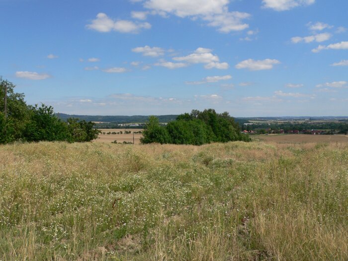 Mankovice