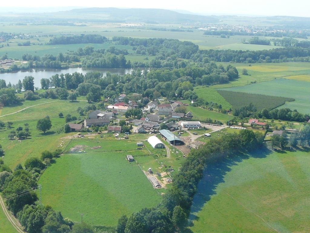 2011