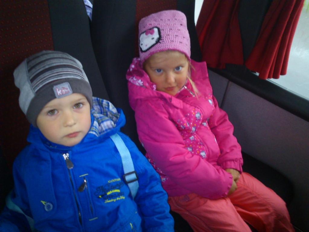 vlet Mini ZOO