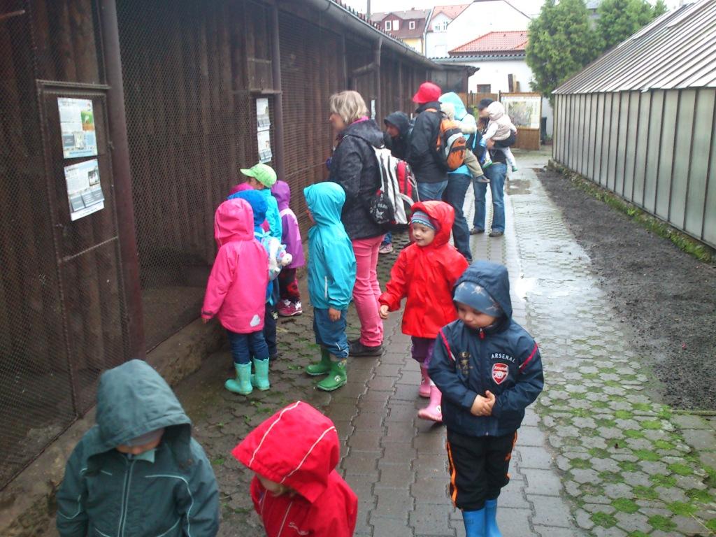vlet Mini ZOO