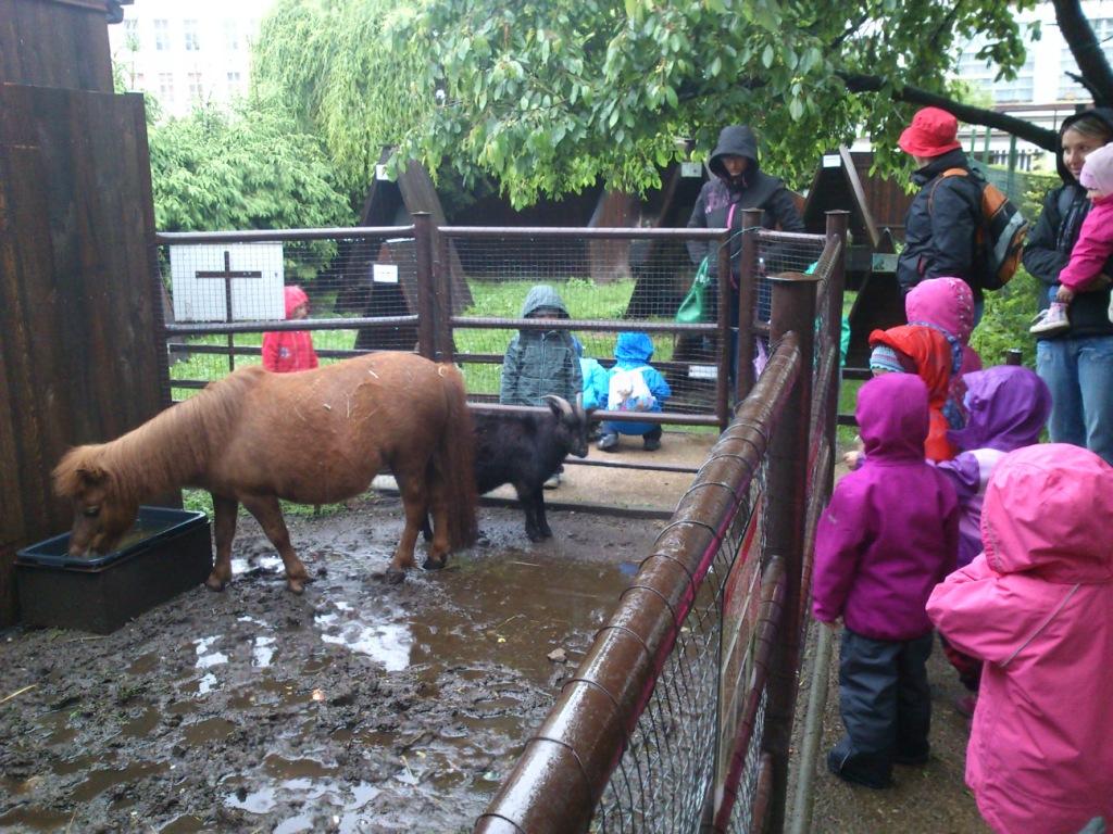 vlet Mini ZOO