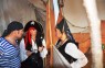 karneval - 4