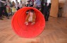 karneval - 13